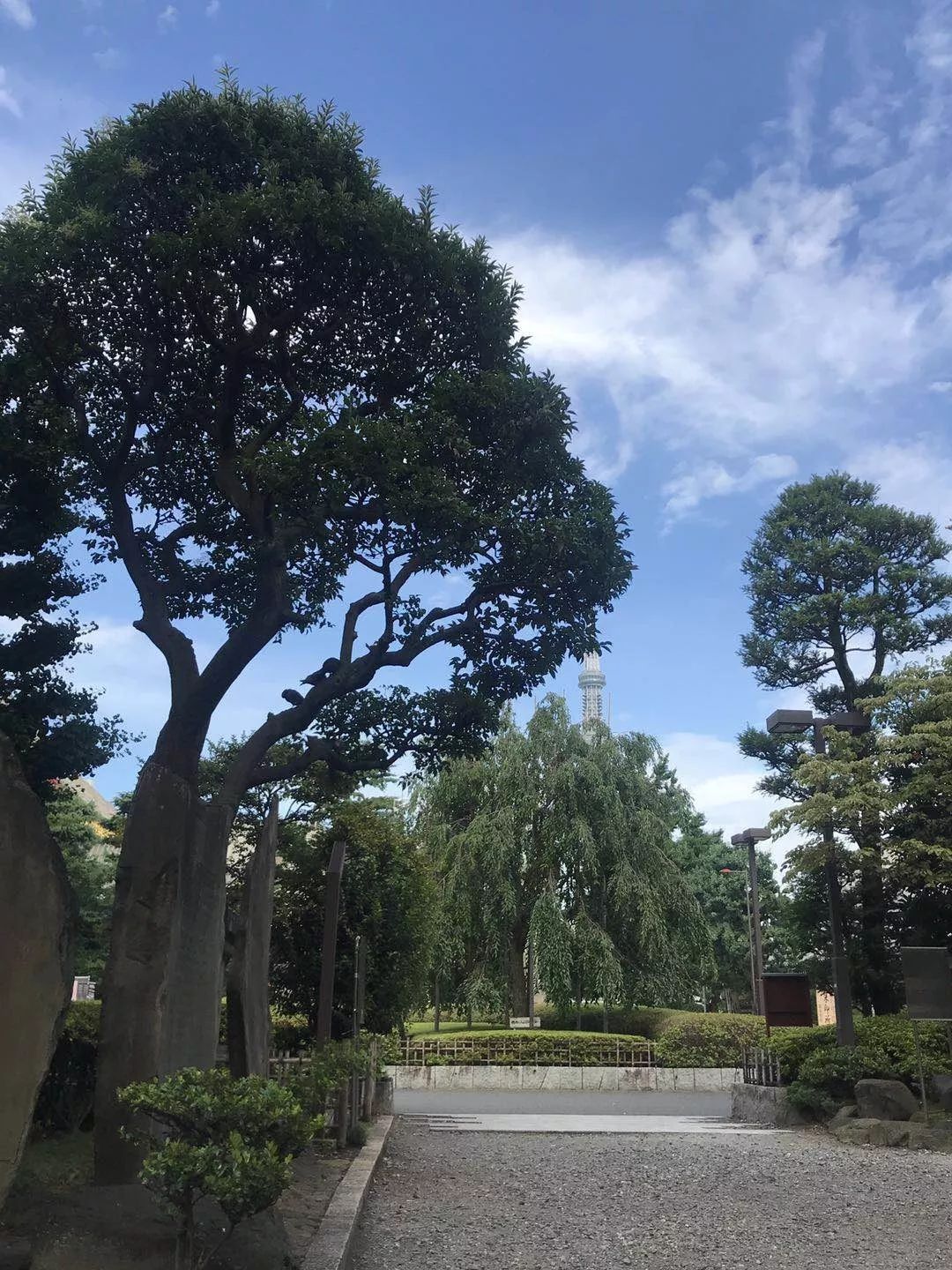 微信图片_20190829113237